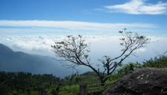 Taxi Coimbatore - Tours & Travels